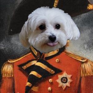 Meet your Posher, Mark